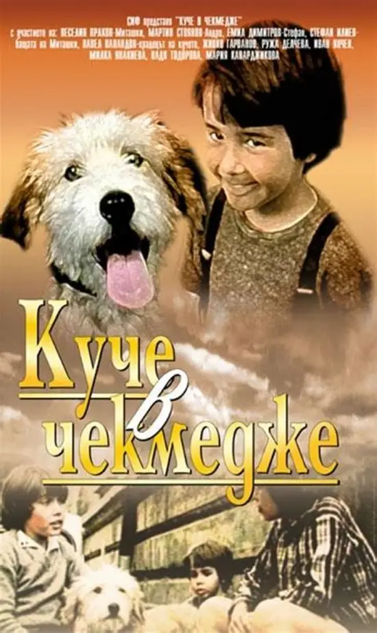 Movie Poster